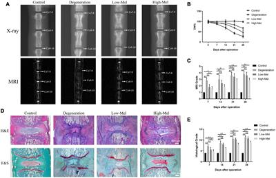 Melatonin Attenuates Intervertebral Disk Degeneration via Maintaining Cartilaginous Endplate Integrity in Rats